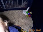 DCP08421