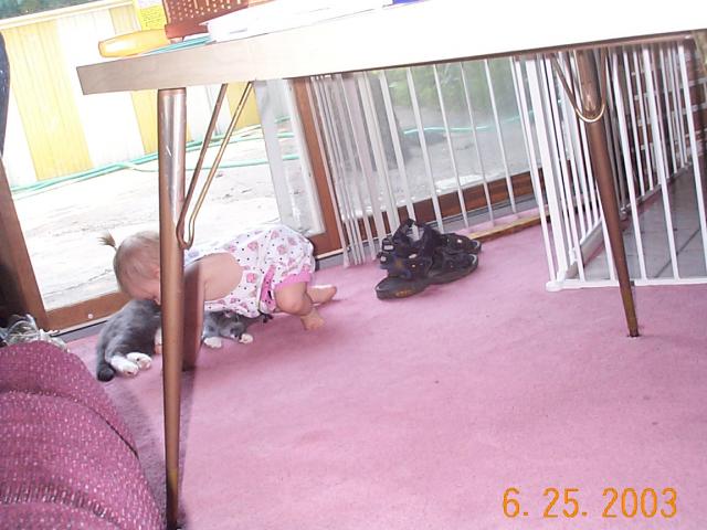 Daphne20030625-02