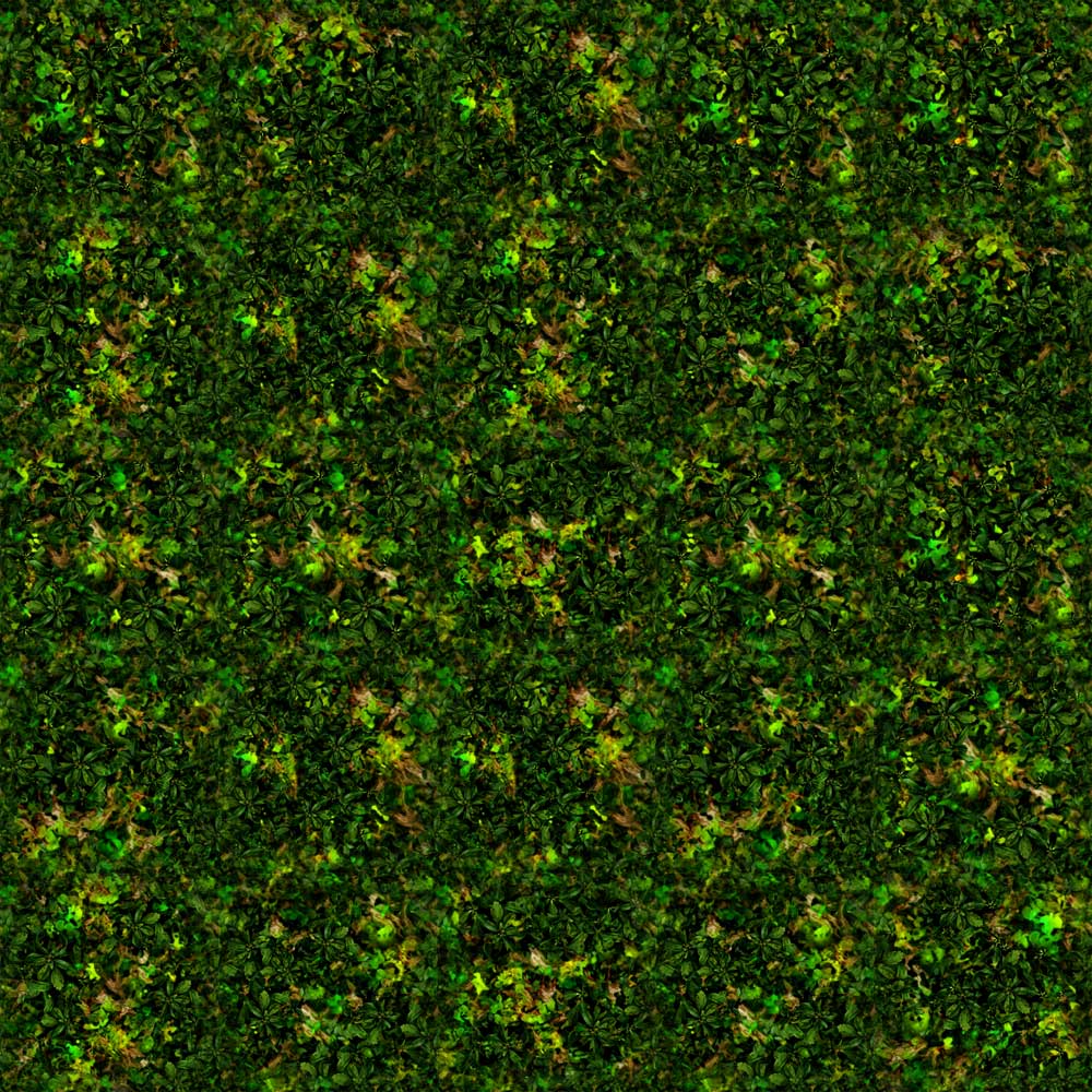 jungle floor texture 28 images forest floor texture jungle floor texture 28 images forest floor texture